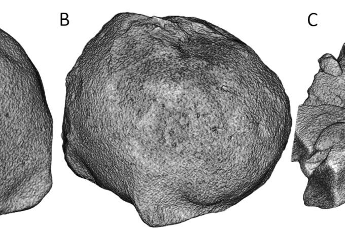 Ilustración que ejemplifica el método de análisis CTS. A la izquierda, se muestra un volumen 3D, mientras que a la derecha se presentan varias secciones que dividen dicho volumen. Crédito: Farnell Barqué et al., 2024.