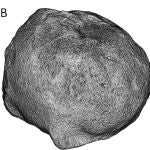 Ilustración que ejemplifica el método de análisis CTS. A la izquierda, se muestra un volumen 3D, mientras que a la derecha se presentan varias secciones que dividen dicho volumen. Crédito: Farnell Barqué et al., 2024.