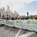 Manifestación provida y contra el aborto. 