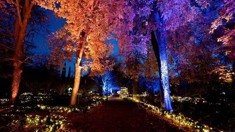 La capital de la Navidad en Cantabria que no te puedes perder es esta