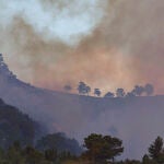 Voluntarios se suman a las tareas de extinción del incendio forestal de Mallorca