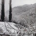 Primera nevada en el parque de Redes. 