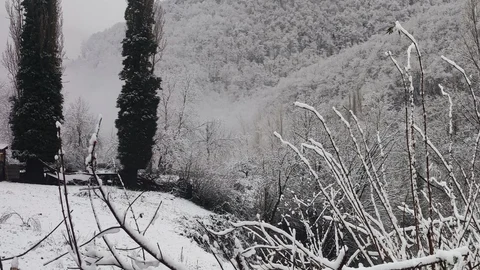 Primera nevada en el parque de Redes.