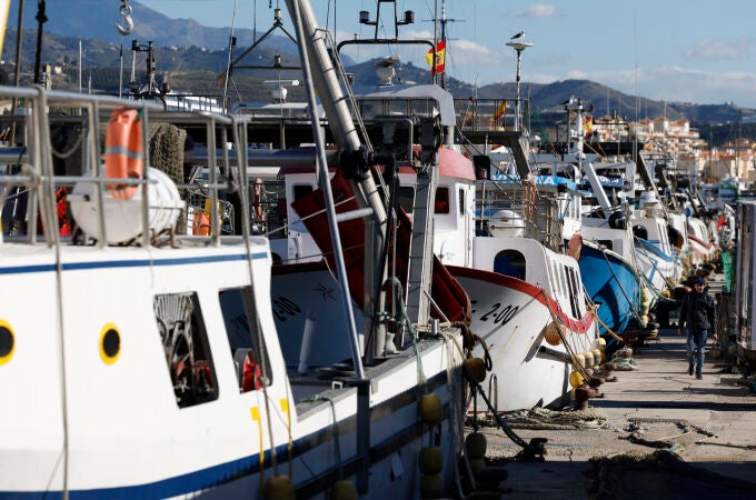 Barcos de arrastre sin salir en el puerto de La Caleta de Vélez-Málaga (Málaga)