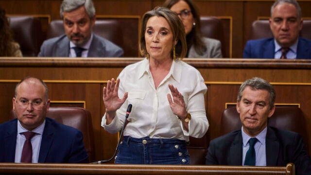Cuca Gamarra, durante la sesión de control al gobierno en el Congreso de los Diputados. © Alberto R. Roldán /