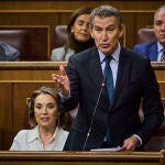 El líder del PP, Alberto Nuñez Feijoo, durante la sesión de control al gobierno en el Congreso de los Diputado