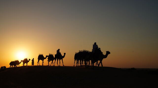 Paseo en camello por el desierto de Dubái