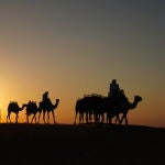 Paseo en camello por el desierto de Dubái