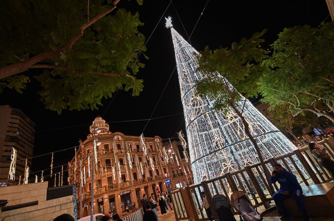 El espectacular árbol que protagoniza las calles más céntricas