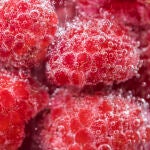 La fructosa es el azúcar de la fruta