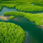 El Amazonas es el río más largo y caudaloso del mundo, con un caudal mayor que el Nilo y el Yangtsé juntos. Atraviesa hasta nueve países y está en el pulmón del planeta