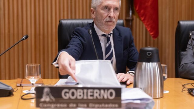Economía.-El PP pide la comparecencia de los ministros Marlaska y Hereu en el Congreso por el nuevo registro de viajeros