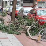 112 Canarias registra casi 100 incidencias a causa del viento en las islas occidentales sin dejar daños personales