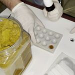 Detenida una red que traficaba con cocaína oculta en especias