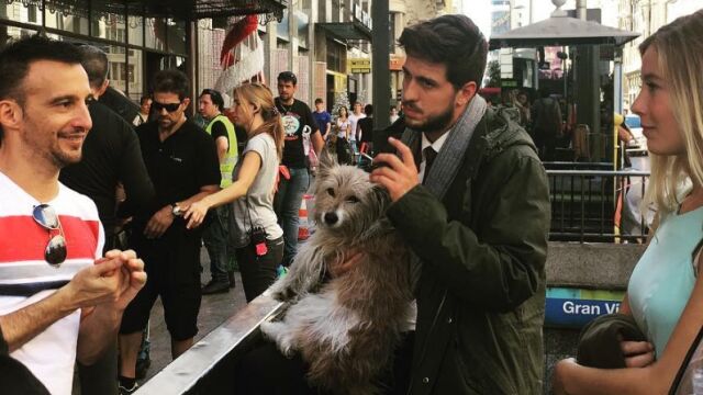 La historia de Max, el perro del anuncio de la Lotería de Navidad que pasó de abandonado a estrella