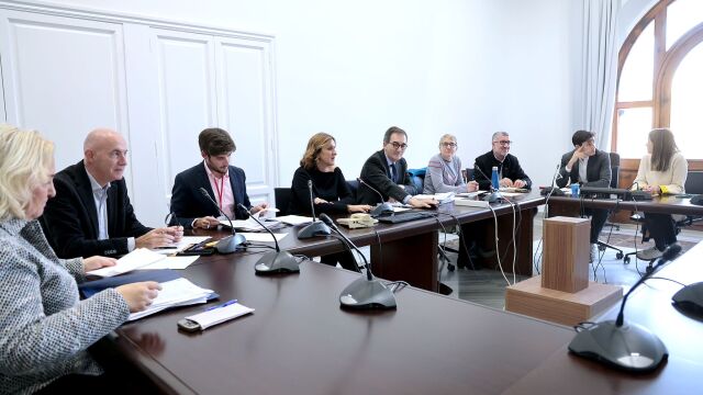 El Ayuntamiento de Valencia aprueba el plan de trabajo de la Comisión No Permanente para la Recuperación