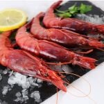 Una Navidad sin gamba roja en la mesa: a partir de este día se dejará de pescar