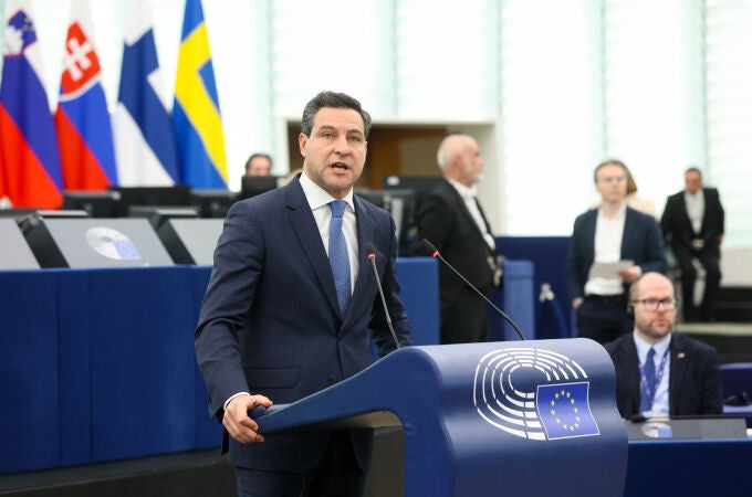 El eurodiputado popular Raúl de la Hoz, durante su intervención