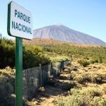 El Cabildo de Tenerife cerrará el acceso a pie de los senderos del Parque Nacional del Teide a partir de este sábado