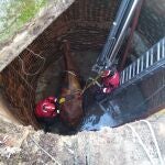 Sucesos.- Bomberos rescatan un caballo que se había caído a un pozo en Guadarrama