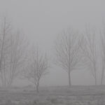 La niebla volverá a ser protagonista una jornada más