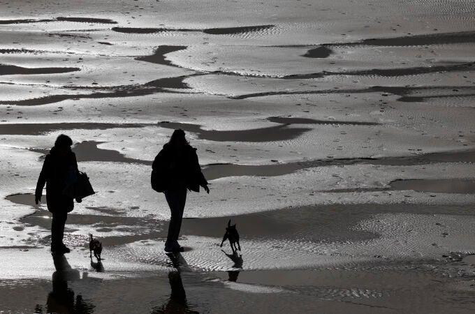 Unas mujeres pasean con sus perros este viernes en la playa de la Concha de San Sebastián