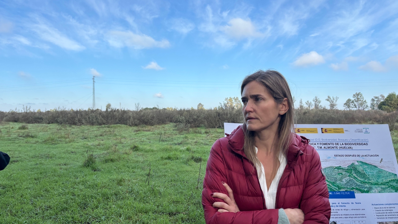 Comienzan las obras de restauración ecológica e hidrológica de la finca Los Mimbrales de Doñana