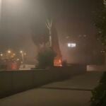 Vídeo: una banda de marroquíes quema un árbol de Navidad en L'Hospitalet (Barcelona) y el ayuntamiento socialista no lo condena 