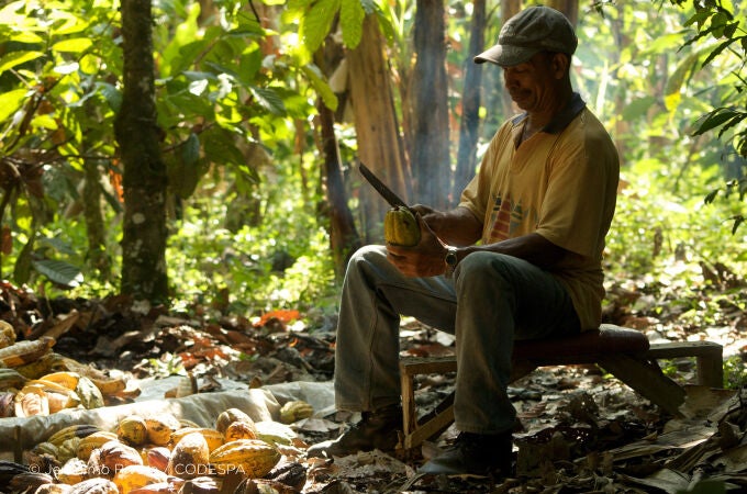 Un productor sostenible del proyecto Cacao Trace, en Monte Plata (República Dominicana)