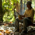 Un productor sostenible del proyecto Cacao Trace, en Monte Plata (República Dominicana)