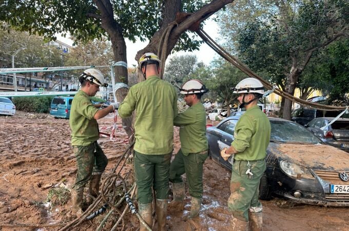 Una brigada de técnicos de i-DE trabaja en la restauración del tendido tras la DANA, en Valencia