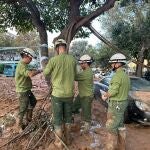 Una brigada de técnicos de i-DE trabaja en la restauración del tendido tras la DANA, en Valencia