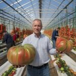 Imagen de tomates del tamaño de sandía creada con IA por el Día de los Inocentes
