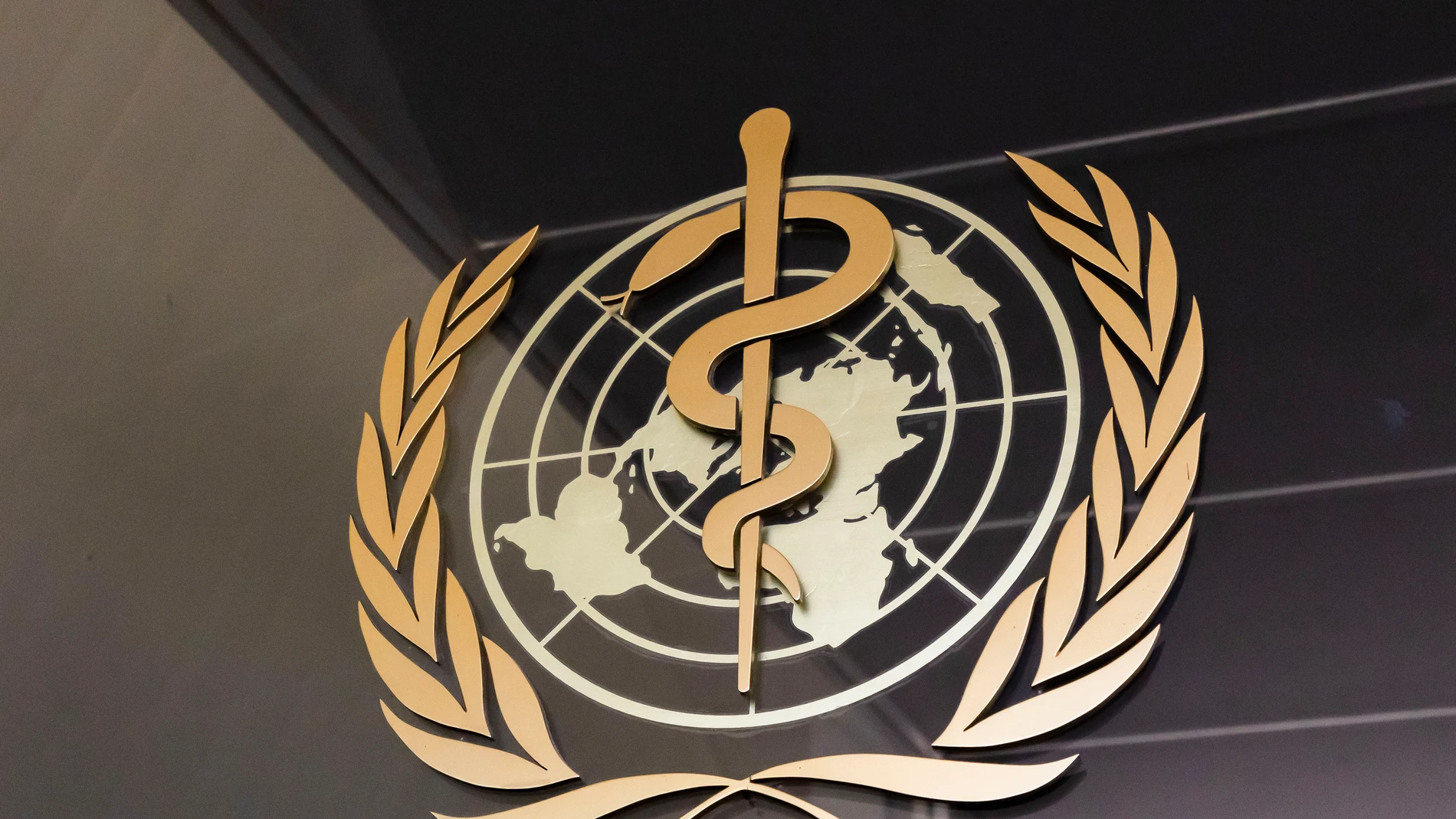 Imagen de la sede de la OMS