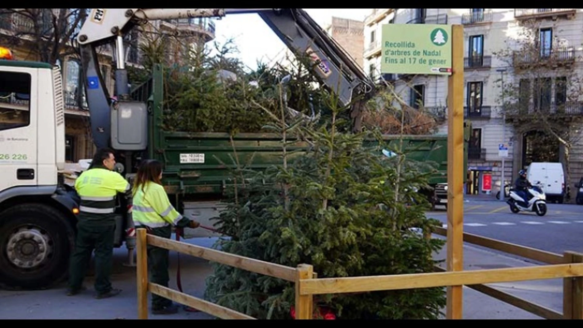 Punt de recollida d'arbres de Nadal REMITIDA / HANDOUT por AJUNTAMENT DE BARCELONA Fotografía remitida a medios de comunicación exclusivamente para ilustrar la noticia a la que hace referencia la imagen, y citando la procedencia de la imagen en la firma 06/01/2025