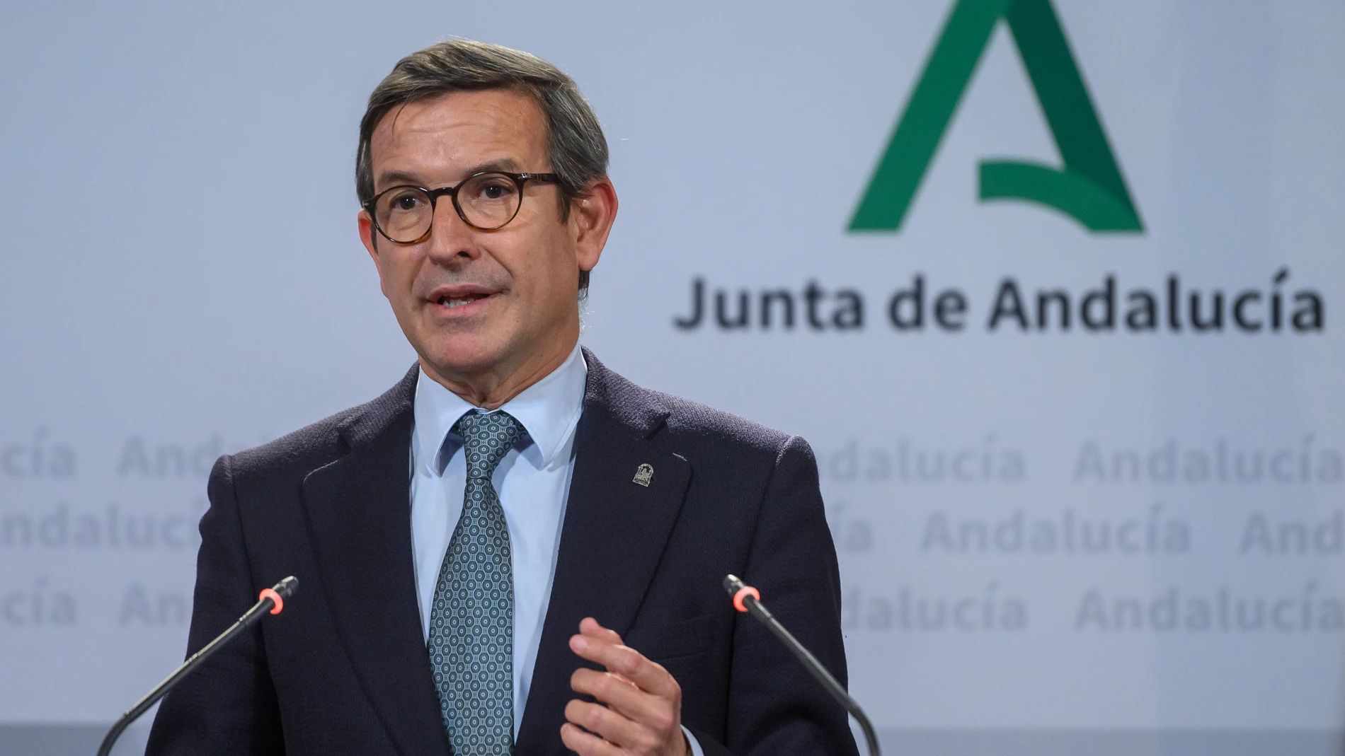 GRAFAND5761. SEVILLA, 08/01/2025.- El consejero de Industria, Energía y Minas, Jorge Paradela, durante la rueda de prensa posterior al Consejo de Gobierno celebrado este miércoles en el Palacio de San Telmo, sede de la Presidencia en Sevilla. EFE/ Raúl Caro.