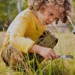 Un niño de 8 años descubre algo sobre las hormigas de su patio y cambia la ciencia de la Tierra