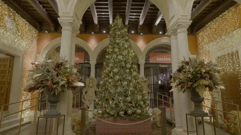Zona de acceso a la Fundación Cajasol, decorada con el árbol de Navidad