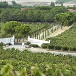 Finca Villacreces, en la provincia de Valladolid