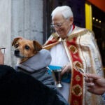 Tradicional bendición a las mascotas en la fiesta del patrón de los animales, desde las 10 a las 20 horas en la iglesia de San Antón