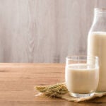 Leche vegetal