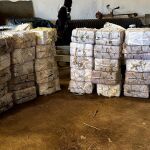 El alijo de cocaína apilado en una nave