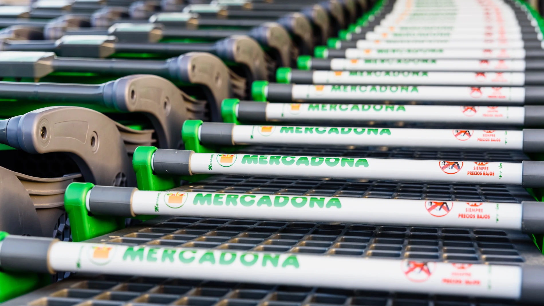 Carros de un supermercado de la cadena de alimentación Mercadona