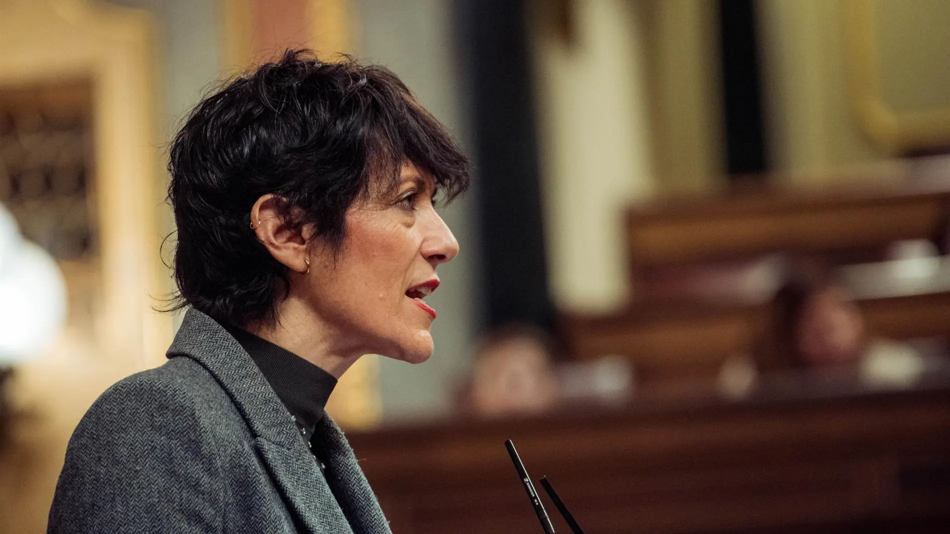 Economía.- Elma Saiz acusa al PP de "dejar tirados" a millones de pensionistas por votar en contra del decreto ómnibus