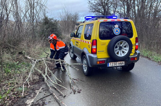 El temporal provoca en Zamora numerosos desprendimientos de cascotes y caída de árboles y objetos