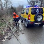 El temporal provoca en Zamora numerosos desprendimientos de cascotes y caída de árboles y objetos