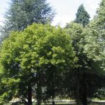 Escuela de Ingenieria Agraria y Forestal de la Universidad de León