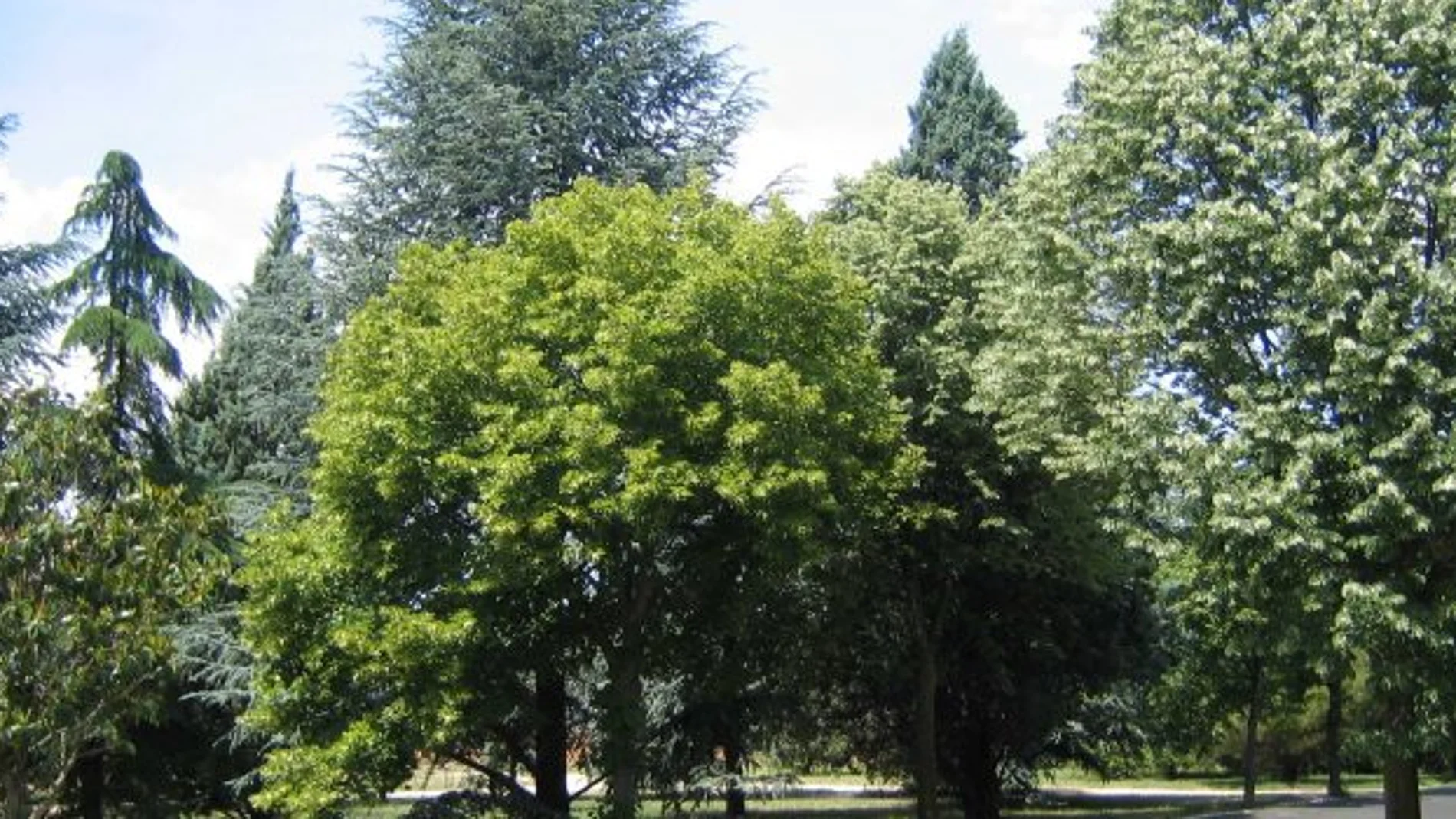 Escuela de Ingenieria Agraria y Forestal de la Universidad de León