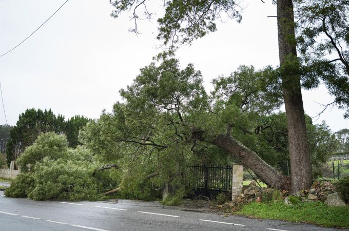 Una de las imágenes que deja el temporal a su paso por Galicia. 