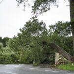 Una de las imágenes que deja el temporal a su paso por Galicia. 